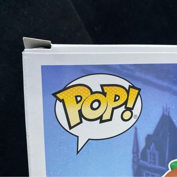 HOT TOPIC EXCLUSIVE • DISNEY’S PETER PAN & HIS SHADOW FUNKO POP! - Picture 8 of 8